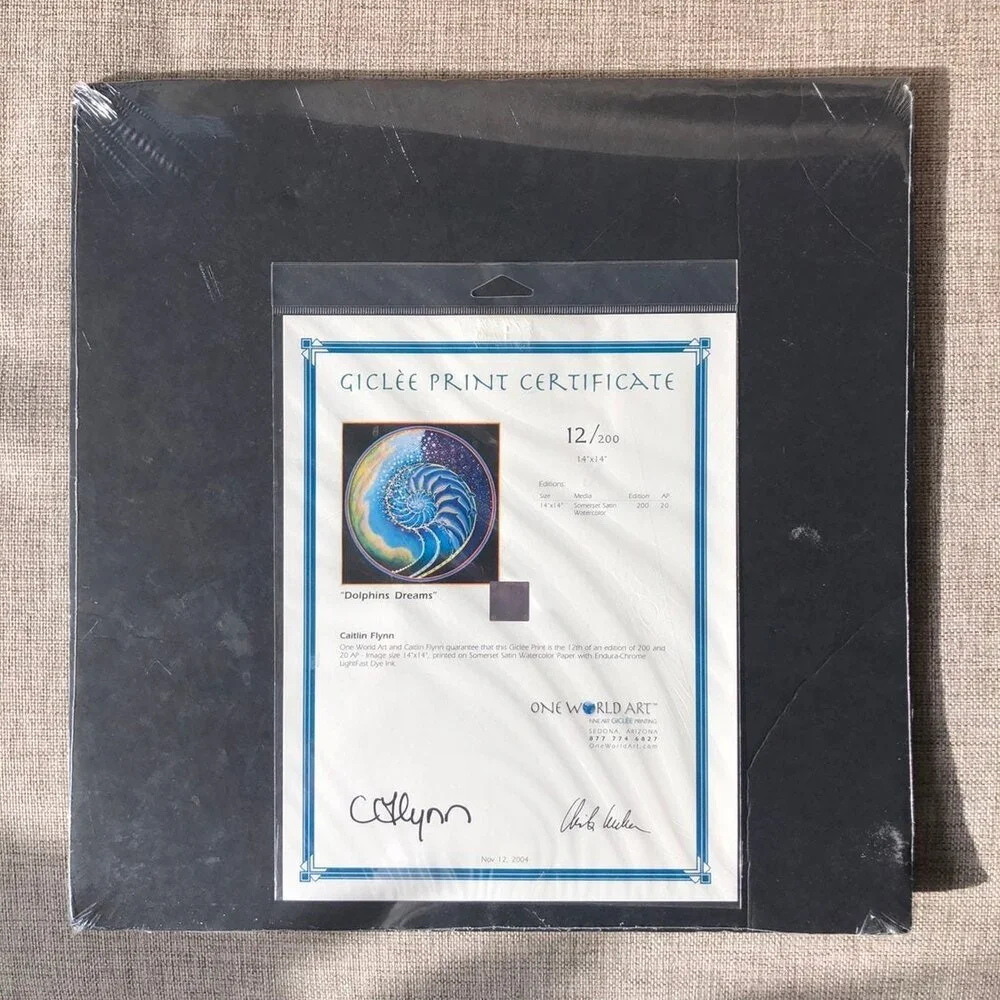 One World Art Giclee Print Certificate Dolphin Dreams by Caitlin Flynn Painting